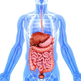 Regolarità Intestinale